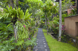 Bebek Tepi Sawah Restaurant & Villas fotoÄŸrafÄ±
