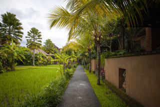 Bebek Tepi Sawah Restaurant & Villas fotoÄŸrafÄ±