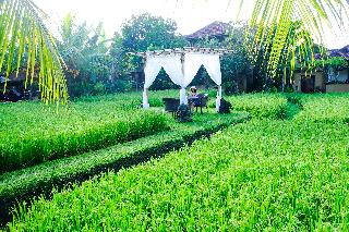 Bebek Tepi Sawah Restaurant & Villas fotoÄŸrafÄ±
