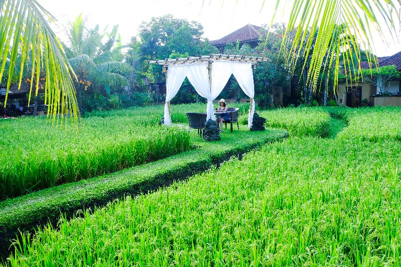 Bebek Tepi Sawah Restaurant & Villas - Restoran