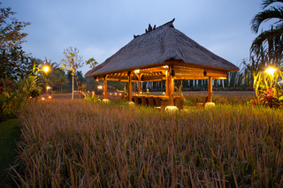 Bebek Tepi Sawah Restaurant & Villas fotoÄŸrafÄ±
