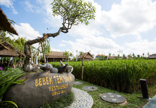 Bebek Tepi Sawah Restaurant & Villas fotoÄŸrafÄ±