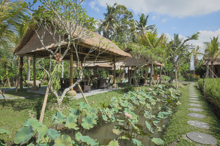 Bebek Tepi Sawah Restaurant & Villas fotoÄŸrafÄ±
