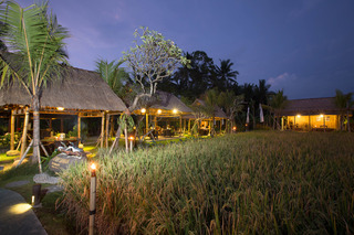 Bebek Tepi Sawah Restaurant & Villas fotoÄŸrafÄ±