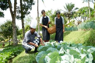 Bagus Jati Health & Wellbeing Retreat fotoÄŸrafÄ±
