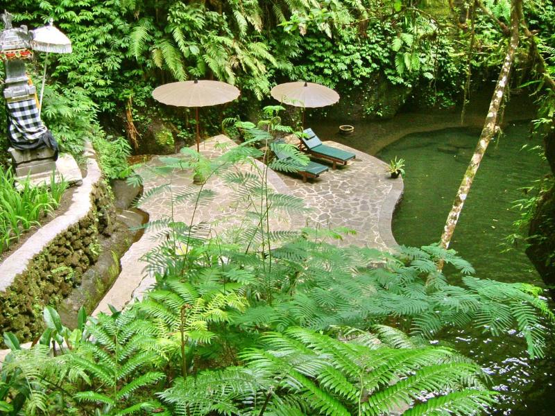 Bagus Jati Health & Wellbeing Retreat - Genel