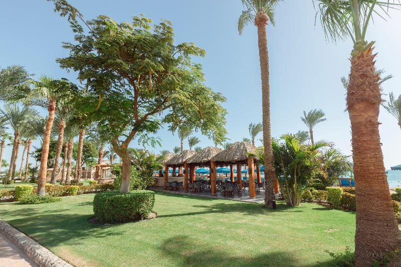Continental Hotel Hurghada - Bar