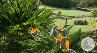 Quinta Mae Dos Homens Garden Village otel fotoğrafı