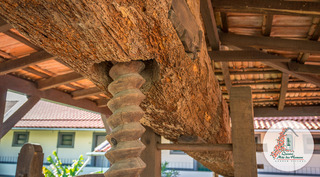 Quinta Mae Dos Homens Garden Village fotoÄŸrafÄ±