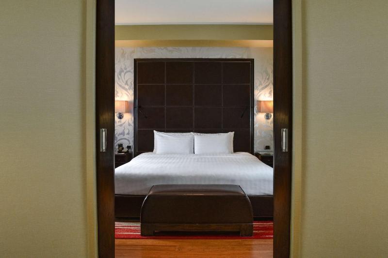 Hilton Bangkok Grande Asoke - Oda