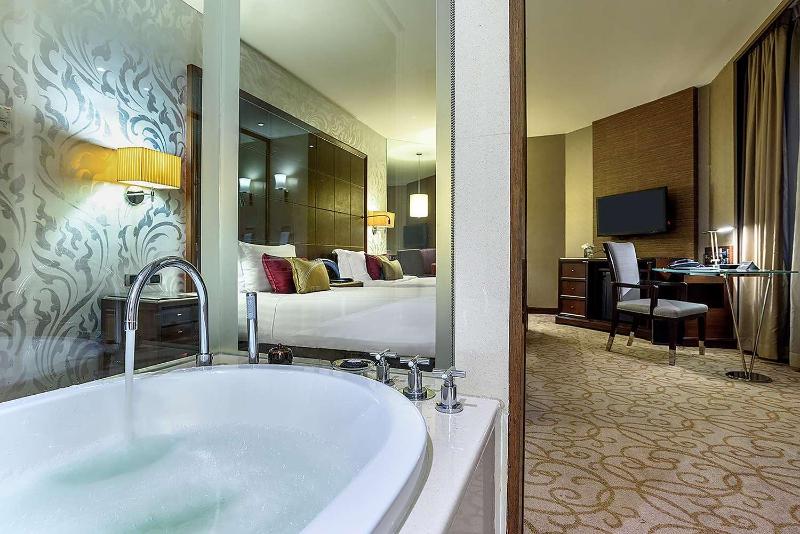 Hilton Bangkok Grande Asoke - Oda
