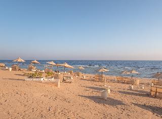 SRNTY Sea Reef fotoÄŸrafÄ±