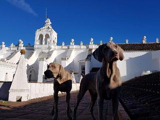 Convento do Espinheiro, Historic Hotel & Spa fotoÄŸrafÄ±