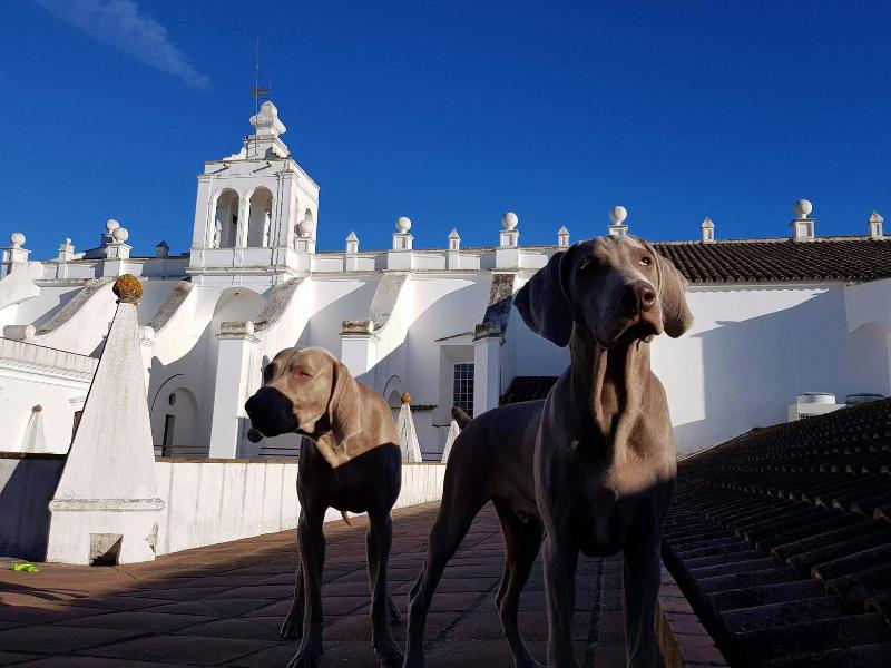Convento do Espinheiro, Historic Hotel & Spa - Genel