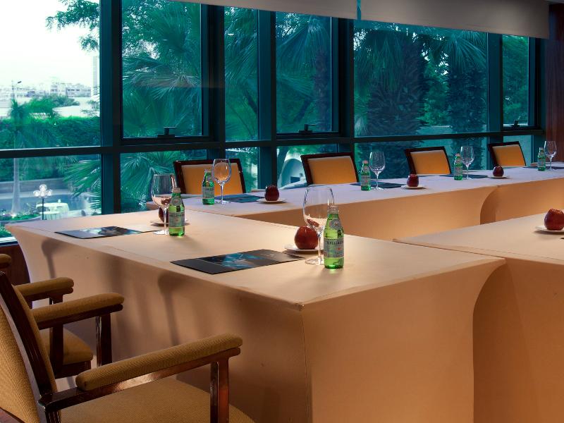 Sonesta Hotel Tower & Casino Cairo - Toplantı