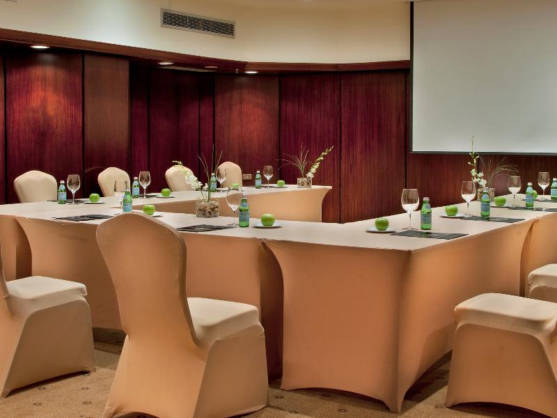 Sonesta Hotel Tower & Casino Cairo - Toplantı