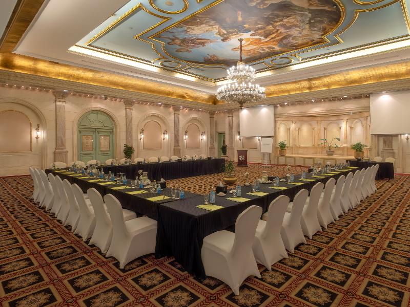 Sonesta Hotel Tower & Casino Cairo - Toplantı