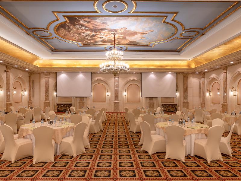 Sonesta Hotel Tower & Casino Cairo - Toplantı