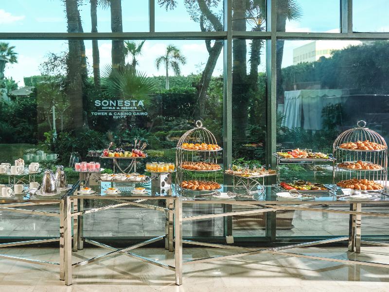 Sonesta Hotel Tower & Casino Cairo - Toplantı
