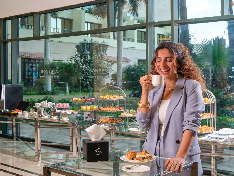 Sonesta Hotel Tower & Casino Cairo - Toplantı