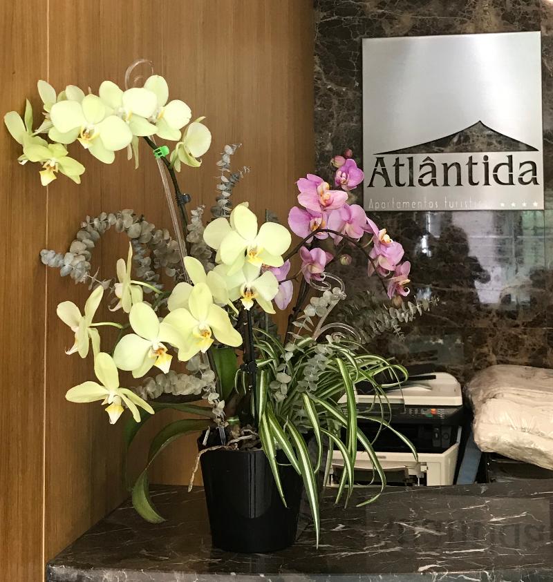 Apartamentos Turisticos Atlantida - Lobi