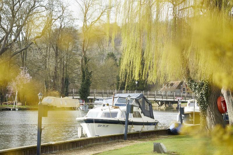 The swan at streatley - Genel