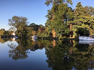 The swan at streatley fotoÄŸrafÄ±