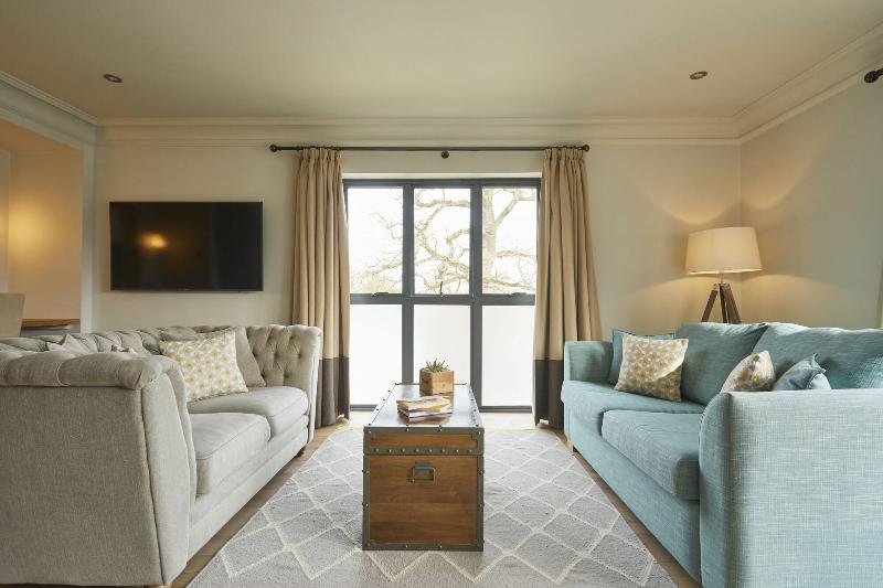 The swan at streatley - Oda