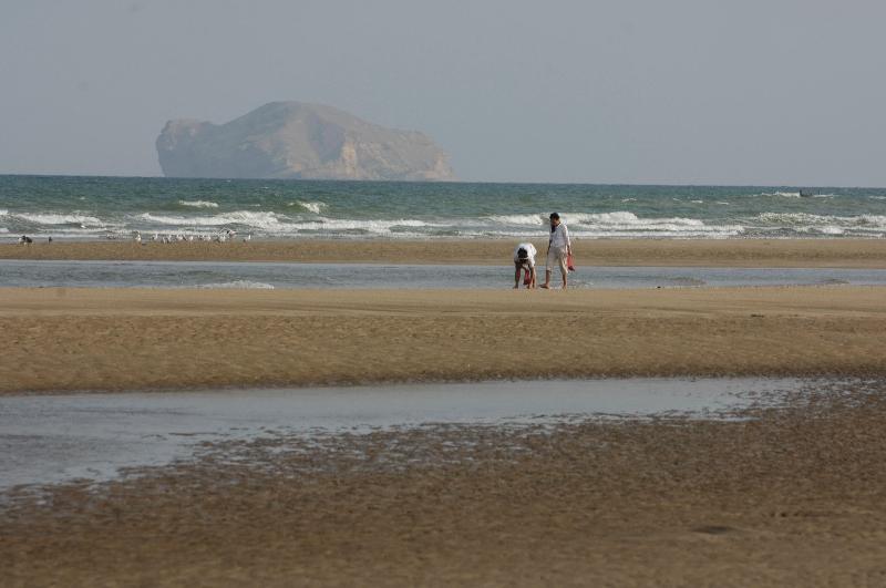 Intercontinental Muscat - Genel