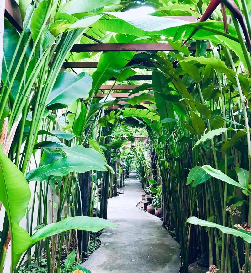 Shewe Wana Boutique Resort & Spa - Genel