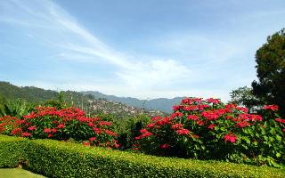Doi Tung Lodge fotoÄŸrafÄ±