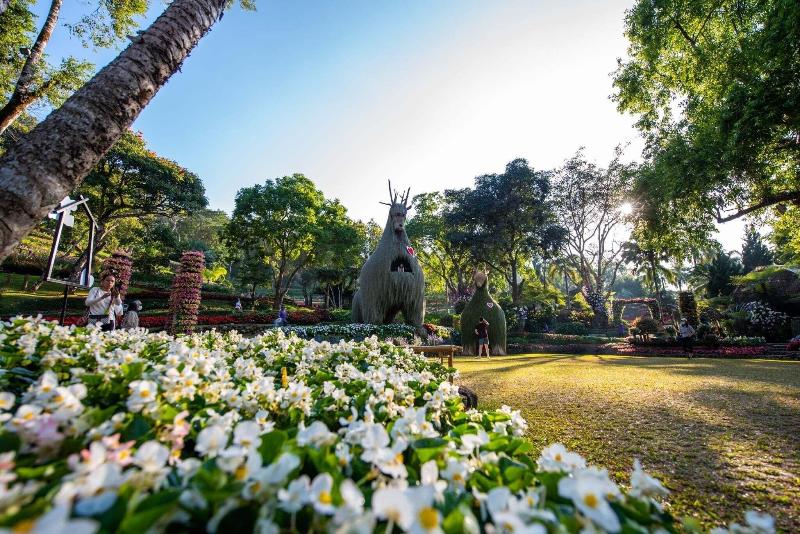 Doi Tung Lodge - Genel