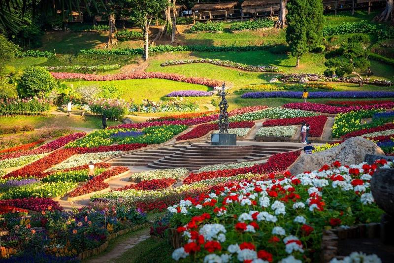 Doi Tung Lodge - Genel