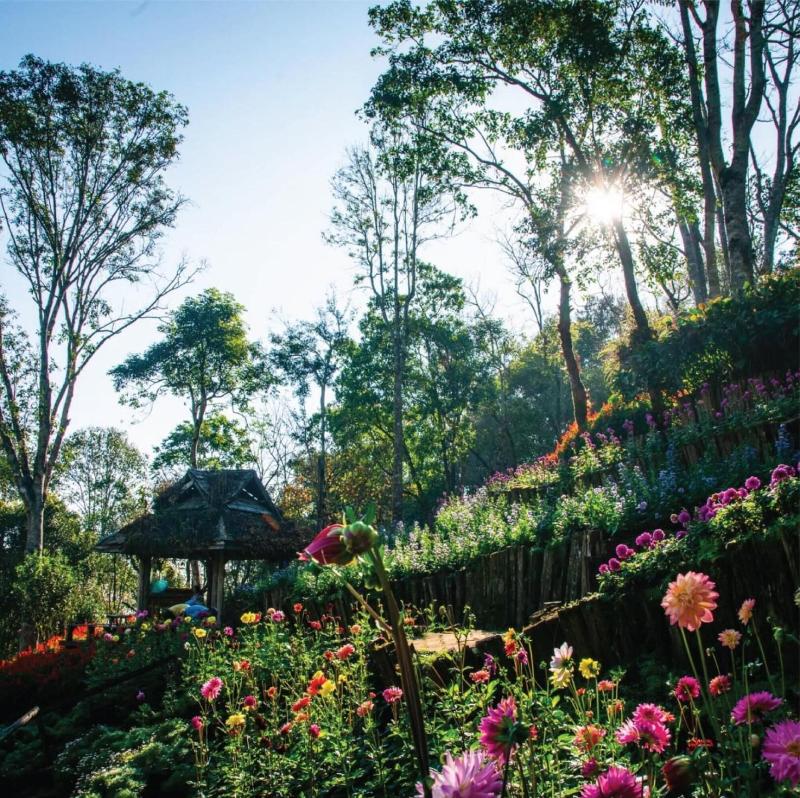 Doi Tung Lodge - Genel