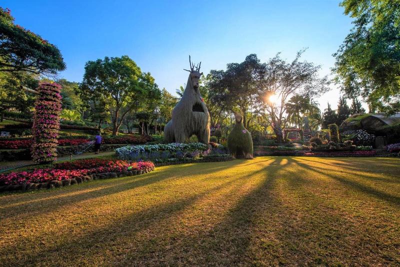 Doi Tung Lodge - Genel