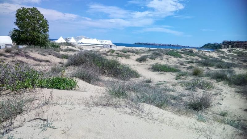 Amfibia Beach Complex - Genel