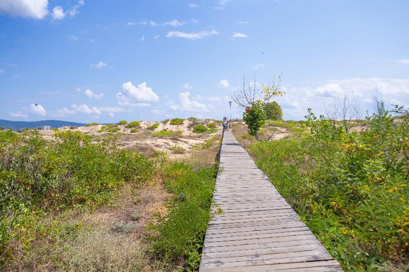 Amfibia Beach Complex - Plaj