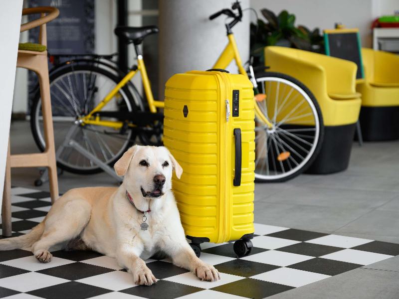 ibis Styles Budapest City - Aktivite