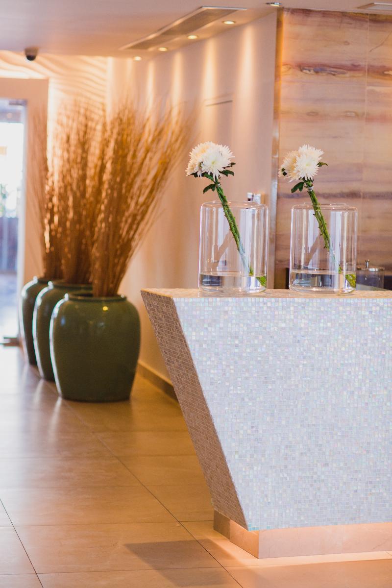 Napa Plaza Hotel - Lobi