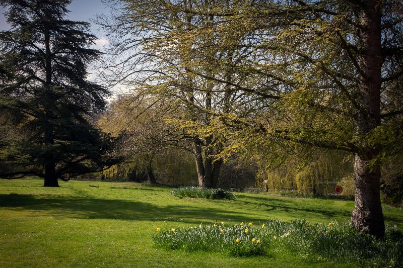 Norton Park Hotel Spa and Manor Hous - Genel