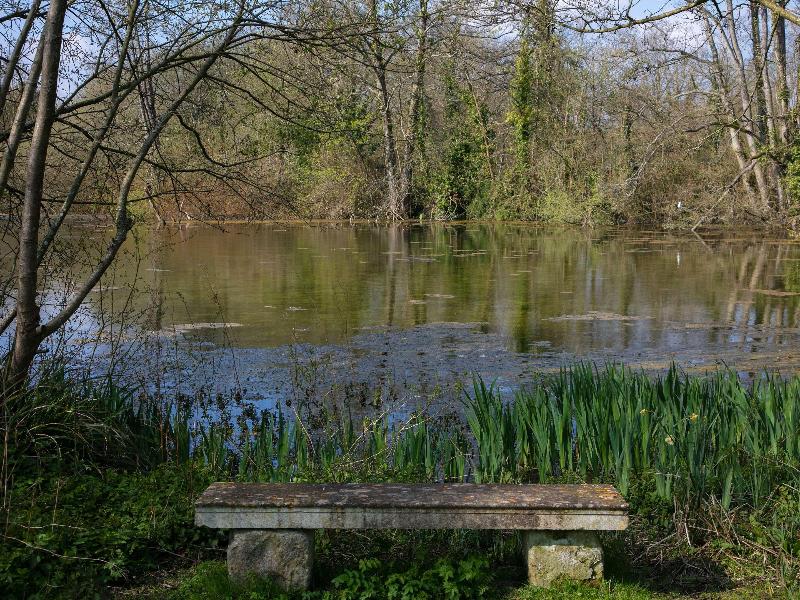 Norton Park Hotel Spa and Manor Hous - Genel