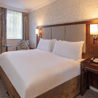 Norton Park Hotel Spa and Manor Hous fotoÄŸrafÄ±