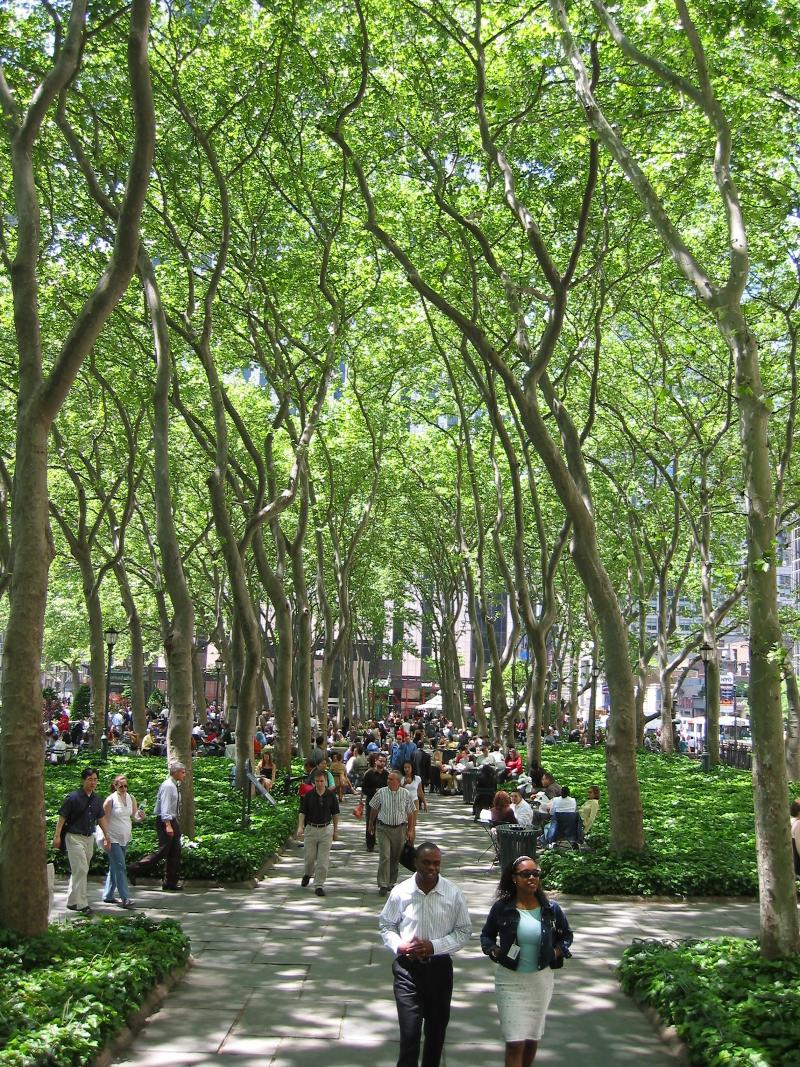 Bryant Park Hotel - Genel