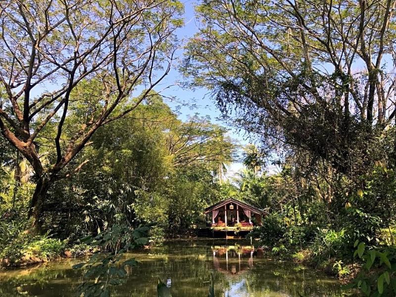Ekman Garden Resort - Oda