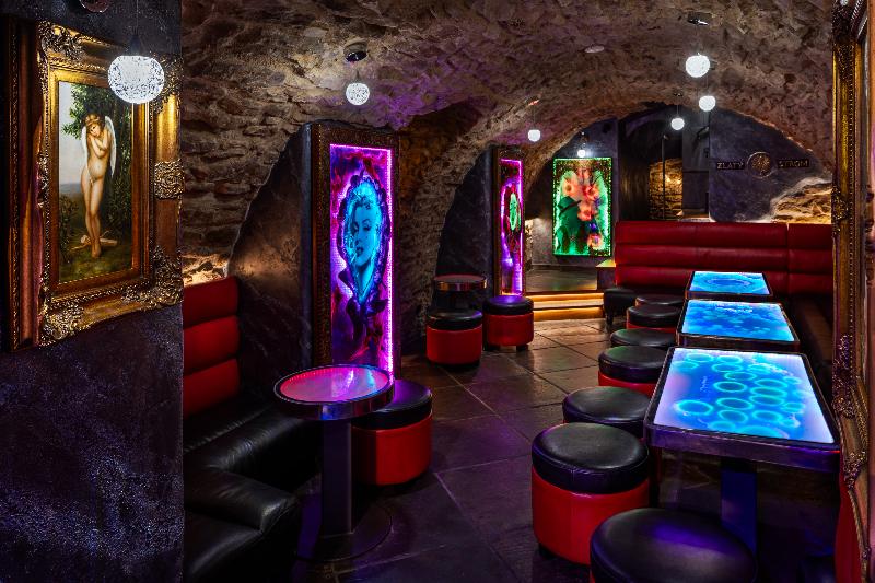 Hotel U Zlatého Stromu Prague by BHG - Bar