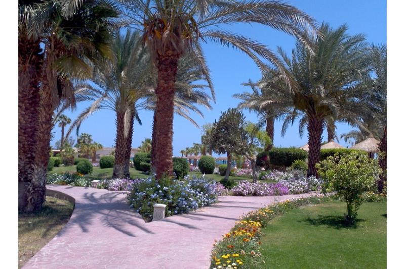 Lotus Bay Beach Resort - Genel