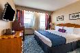 Ramada by Wyndham Jersey City oda fotoğrafı