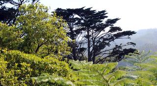 Quinta da Cova do Milho fotoÄŸrafÄ±