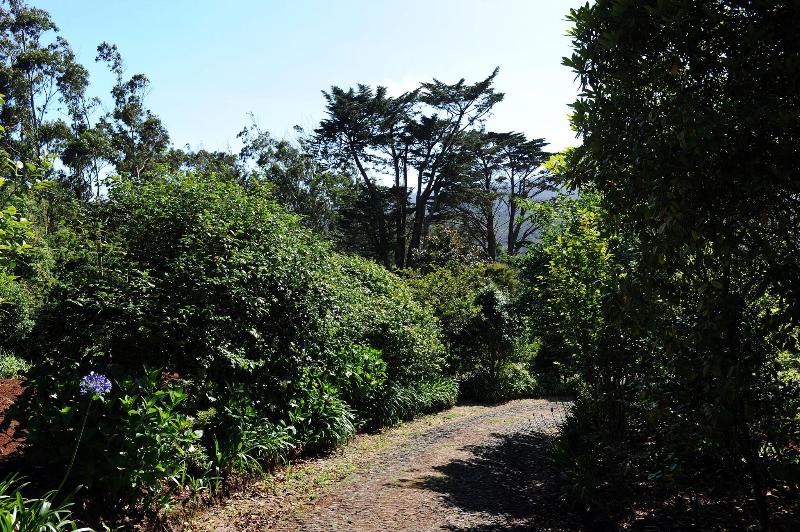 Quinta da Cova do Milho - Teras