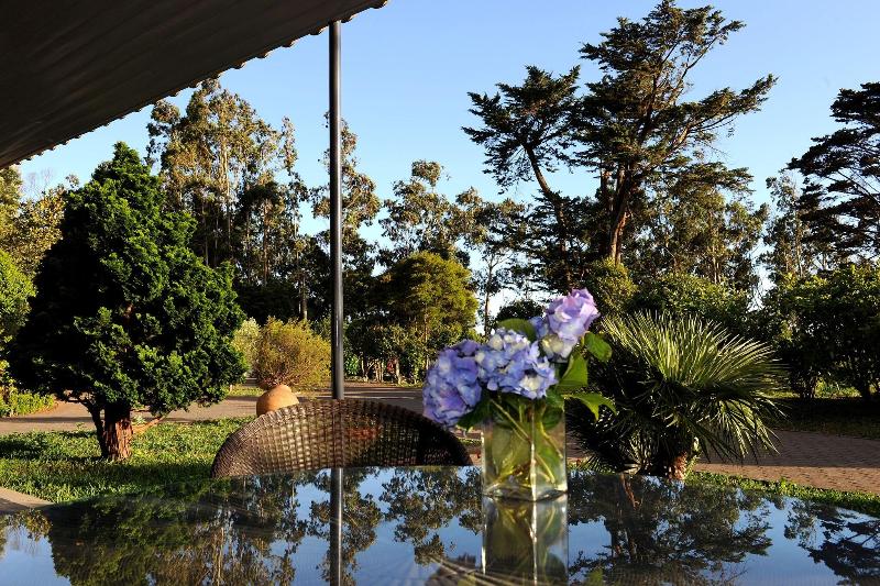 Quinta da Cova do Milho - Teras